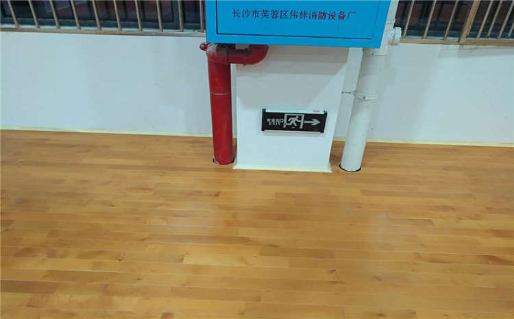 宁夏专业运动木地板什么牌子好