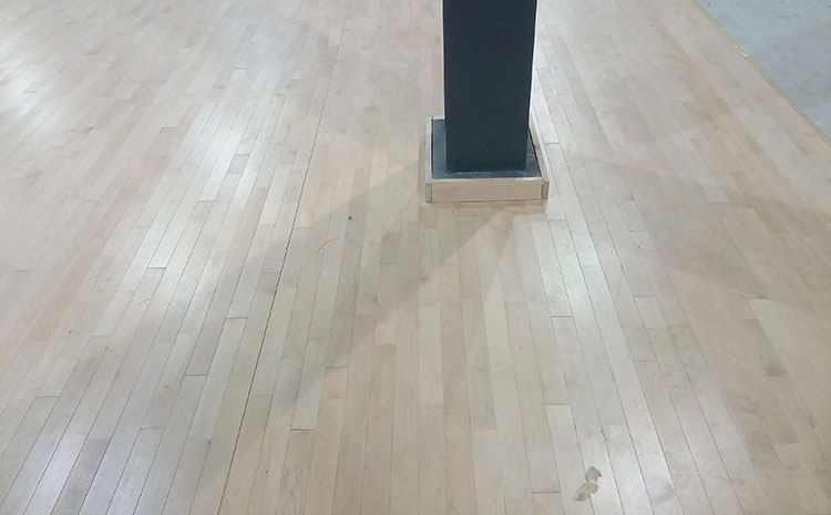 专业舞蹈室木地板什么品牌好